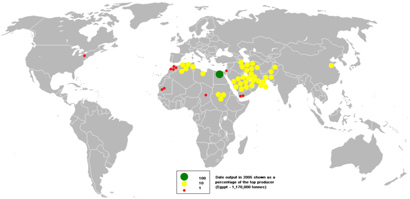 Файл:2005dattes.png